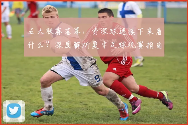 五大联赛落幕，资深球迷接下来看什么？深度解析夏季足球观赛指南